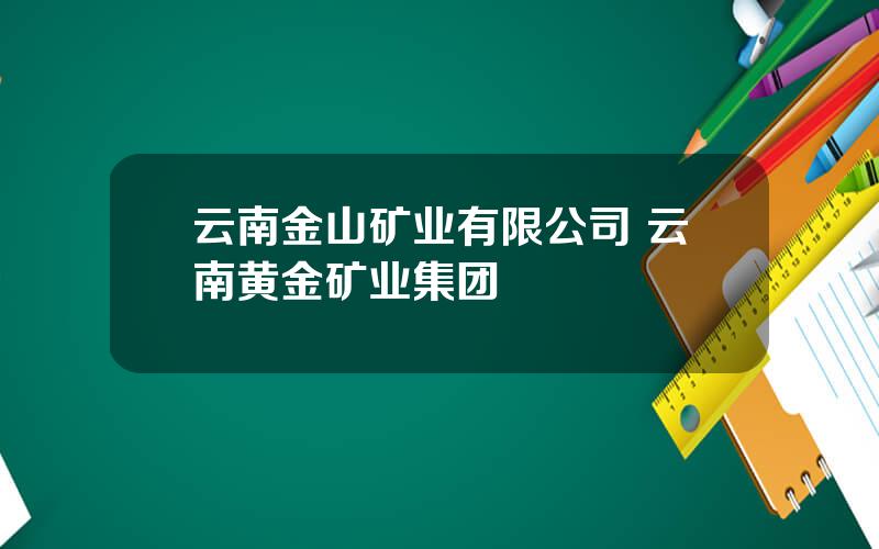 云南金山矿业有限公司 云南黄金矿业集团